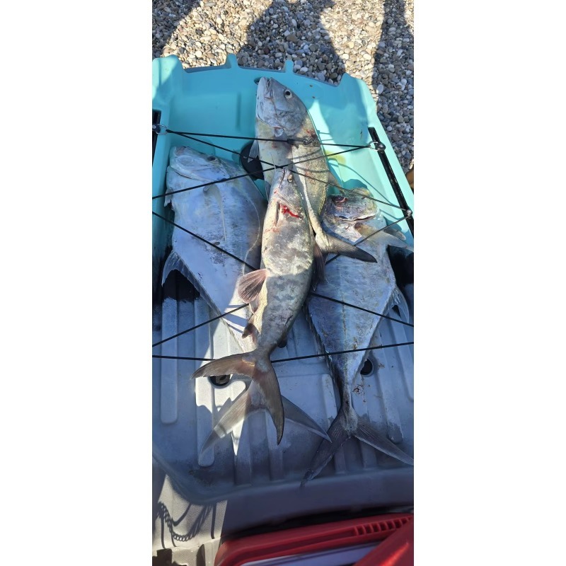 Plastic Fish  Electrico Motor  - Fishing Kayak Seat recensie en prijs
